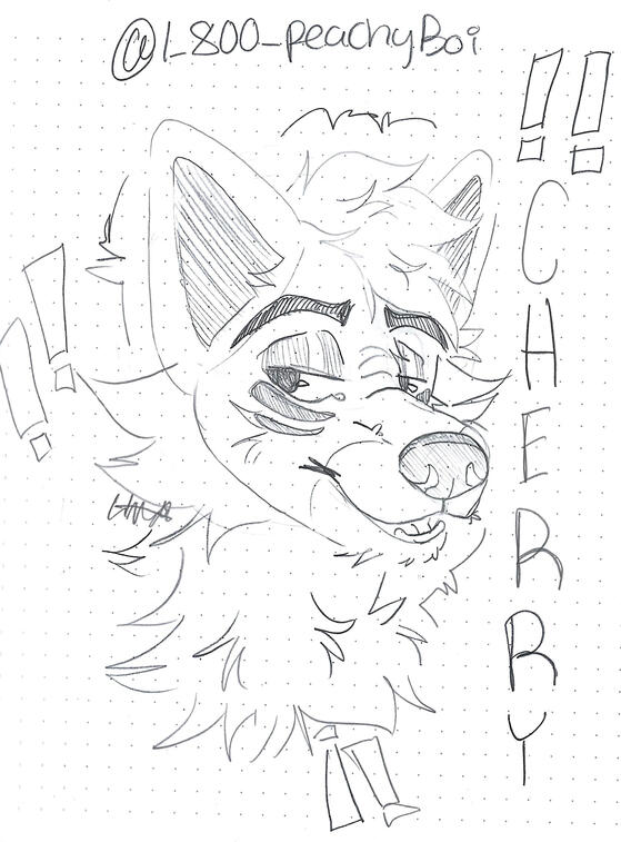 Traditional Headshot Sketch